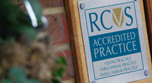 Practice Standards Scheme plaque