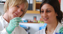 Researchers in a veterinary laboratory