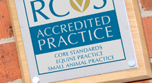 Plaque showing different PSS categories