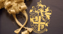Barrister's wig