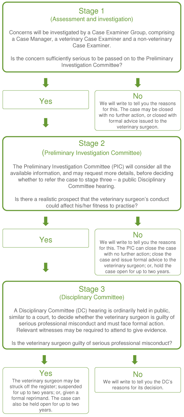 What is a preliminary investigation?