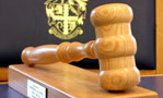 Disciplinary Committee refuses restoration of former veterinary surgeon