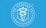 VNs and the Law webinar