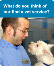 What do you think of our find a vet service?